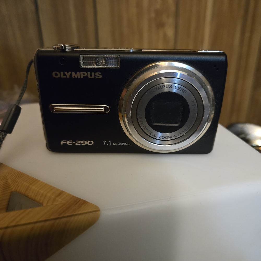 Olympus FE-290 Sleek Black Digital Camera